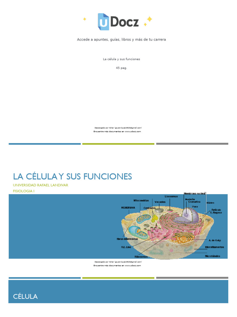 Estructura y funciones de la célula | PDF | Citoplasma | Membrana biológica