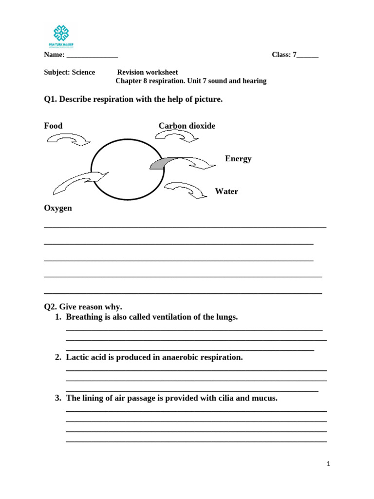Revision Worksheet Unit 7 and 8 | PDF | Breathing | Physiology