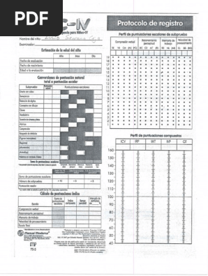 Wisc Iv | PDF