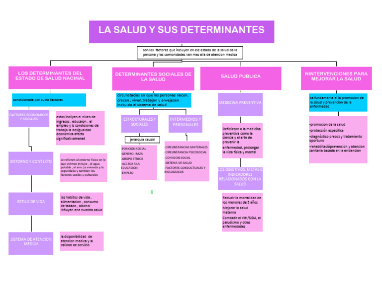 Determinantes de la Salud y Medicina Preventiva | PDF | Cuidado de la ...
