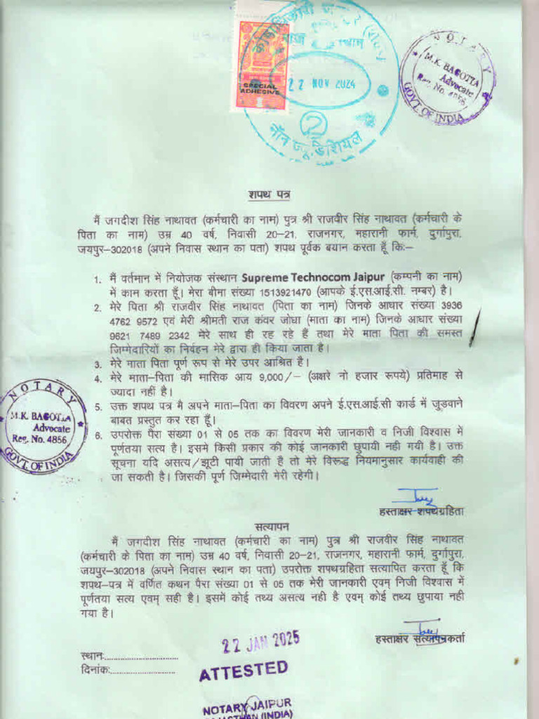 Jagjeet ESI Affidavit | PDF