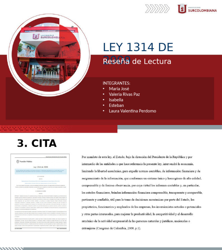Presentación LEY 1314 de 2009 | PDF