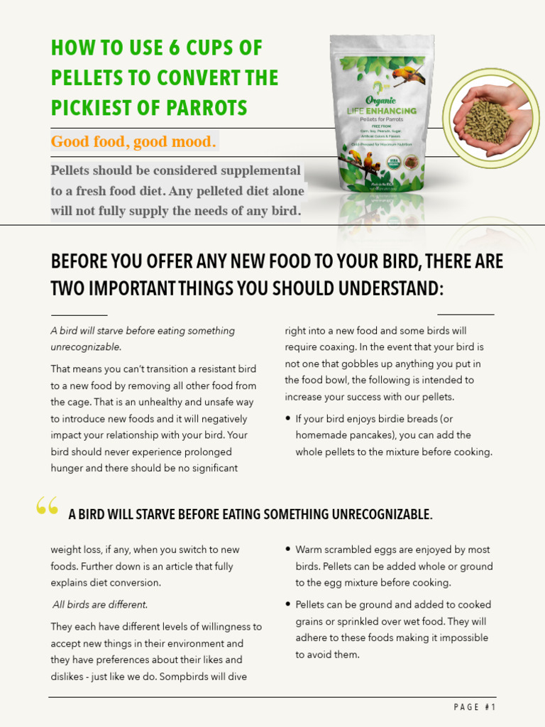 Introducing Our Pellets First Time Guide | PDF | Foods