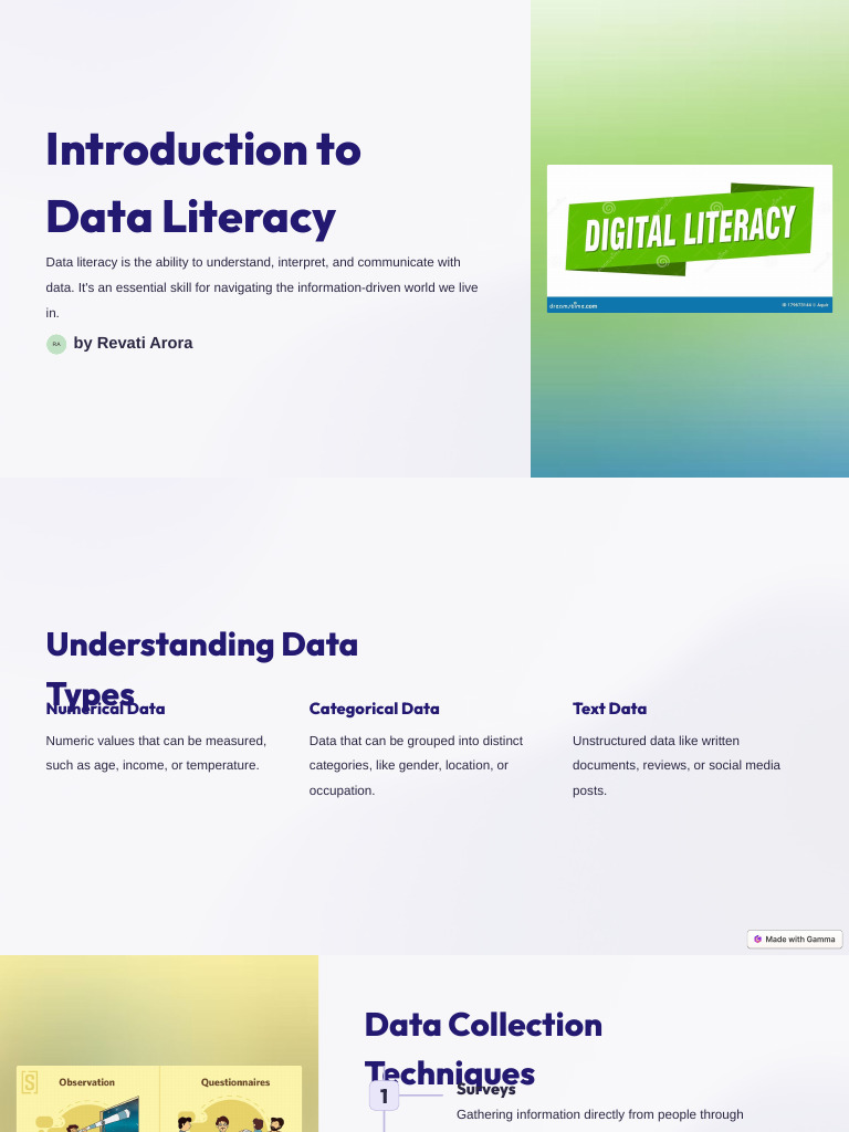 Mastering Data Literacy Skills | PDF | Data Analysis | Data