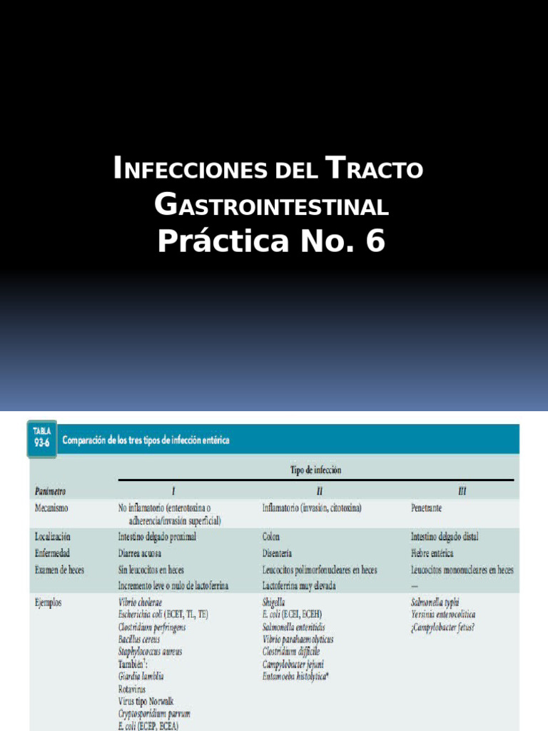 Diagnóstico de Infecciones Gastrointestinales PDF Microbiología