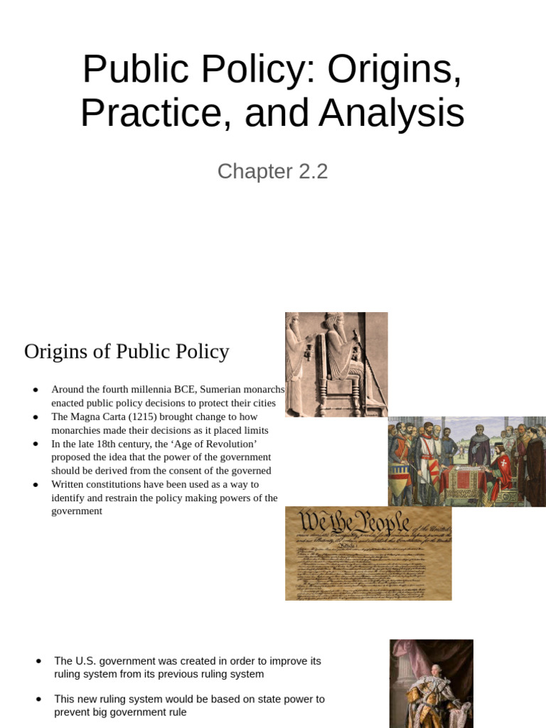 Chapter 2 Public Policy | PDF | Judicial Review | Government