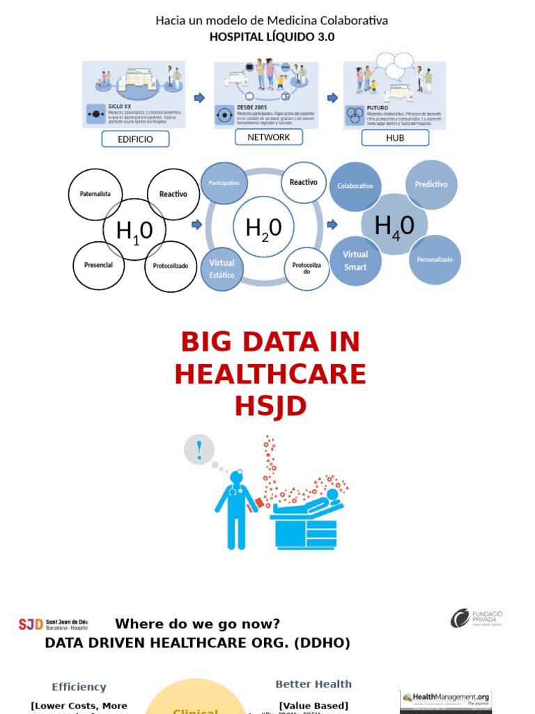 Big Data in Healthcare SJD | PDF