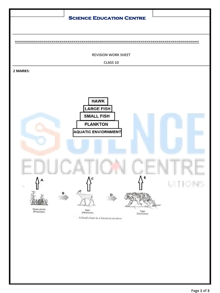 Bio Revision Work Sheet | PDF | Genotype | Heredity