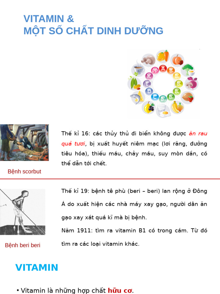 C13 Vitamin | PDF