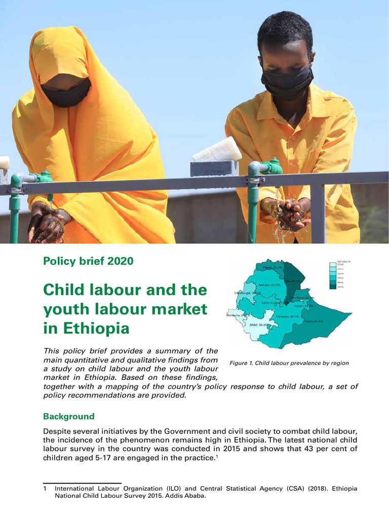 Child Labour and Youth Employment in Ethiopia | PDF | International ...
