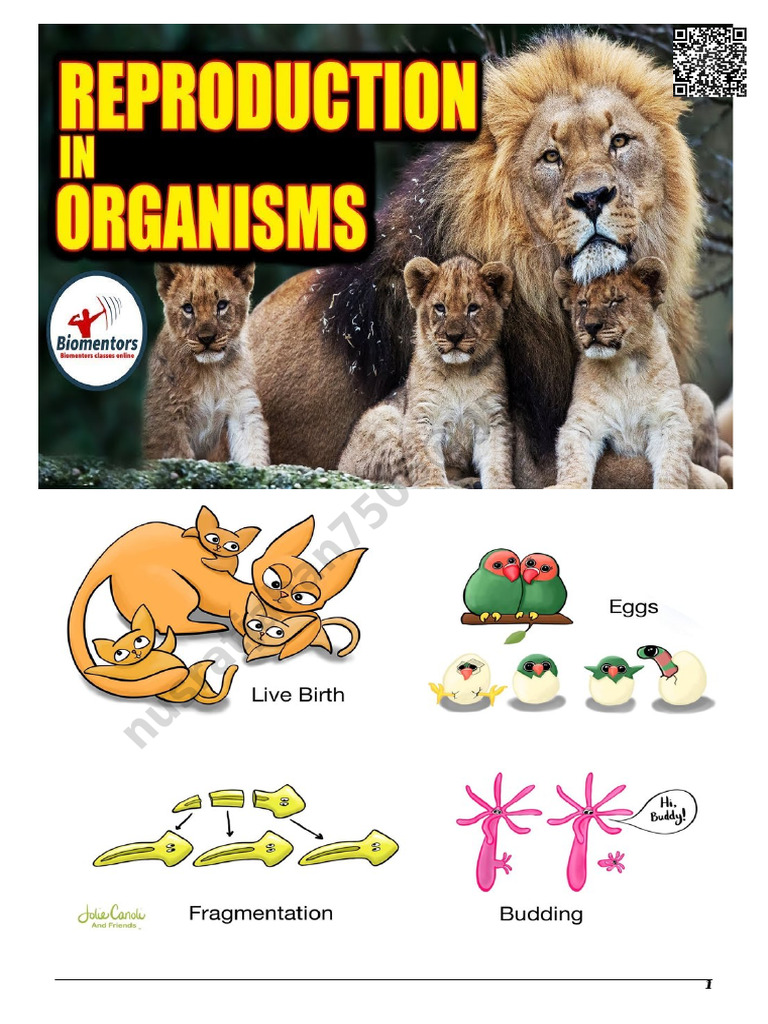 Reproduction in Organisms | PDF | Fertilisation | Reproduction