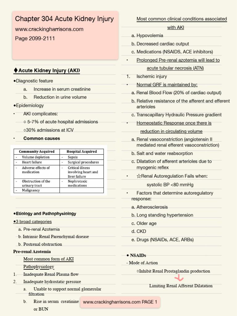 Acute Kidney Injury Typewritten | PDF | Kidney | Ischemia