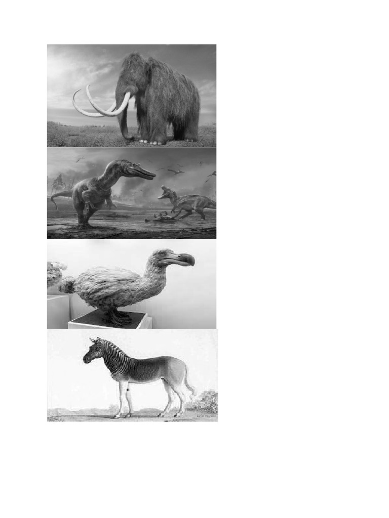 extincts-and-small-amount-of-animal-pdf