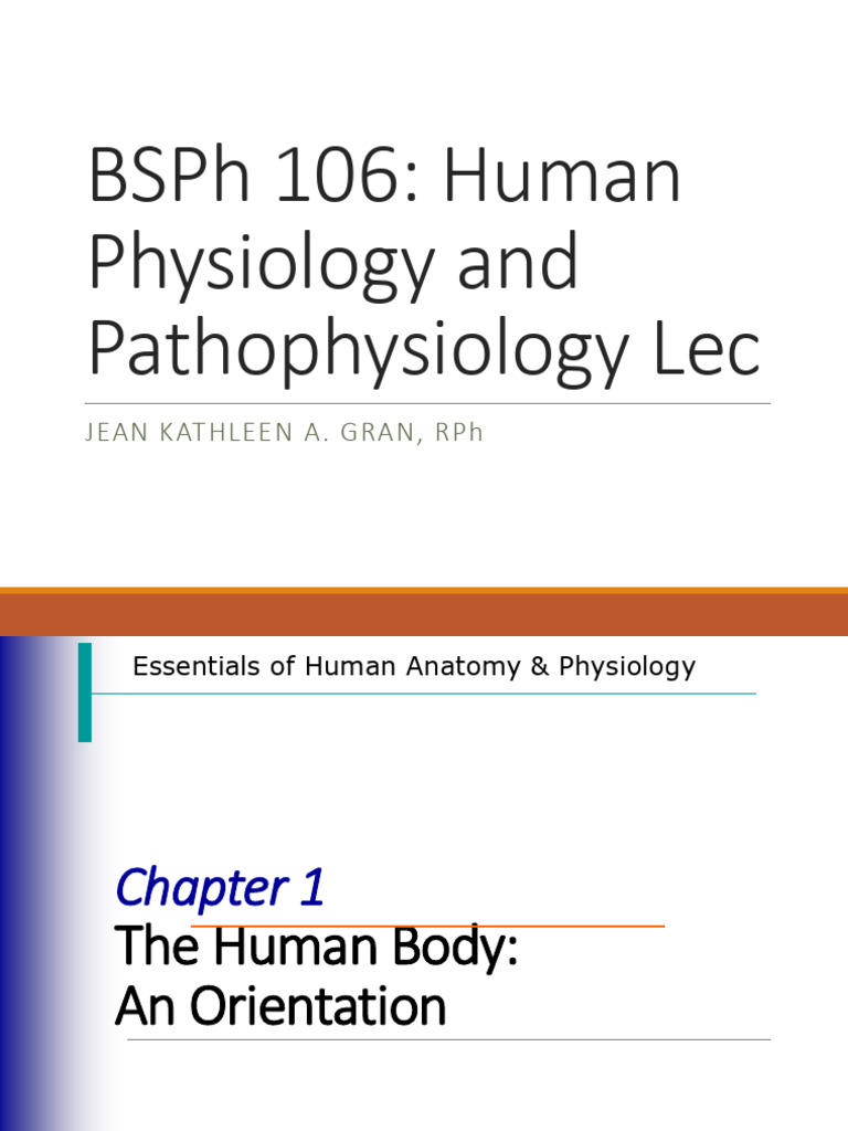 Chapter 1 Overview of Human Anatomy | PDF | Human Body | Homeostasis