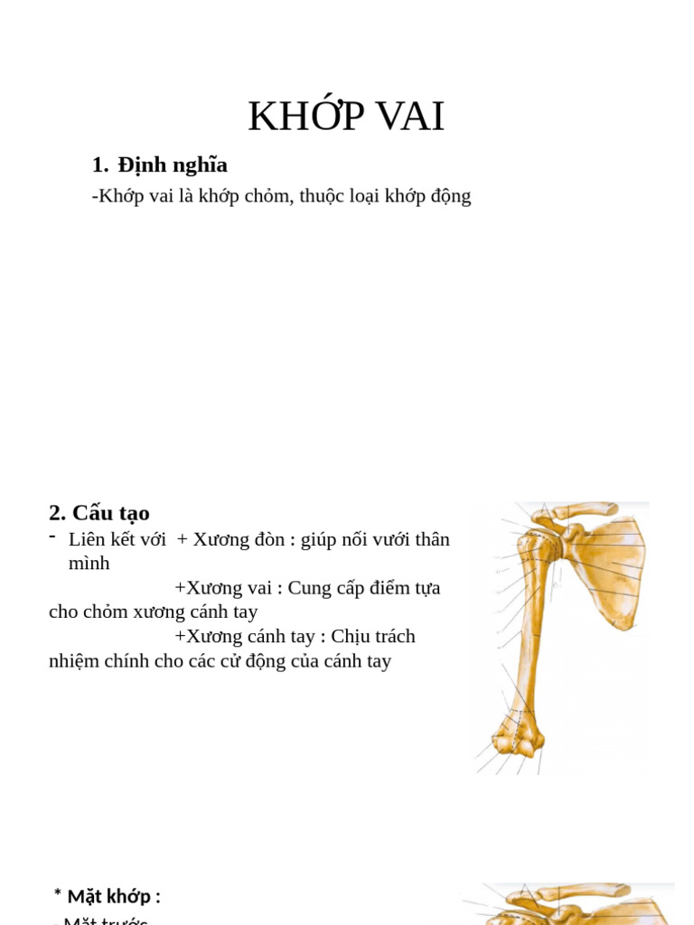 KH P Vai | PDF