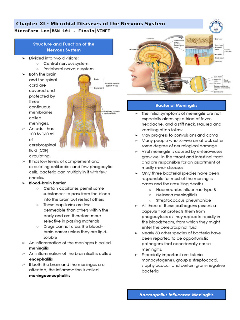 Microbial Diseases of the Nervous System | PDF | Rabies | Meningitis