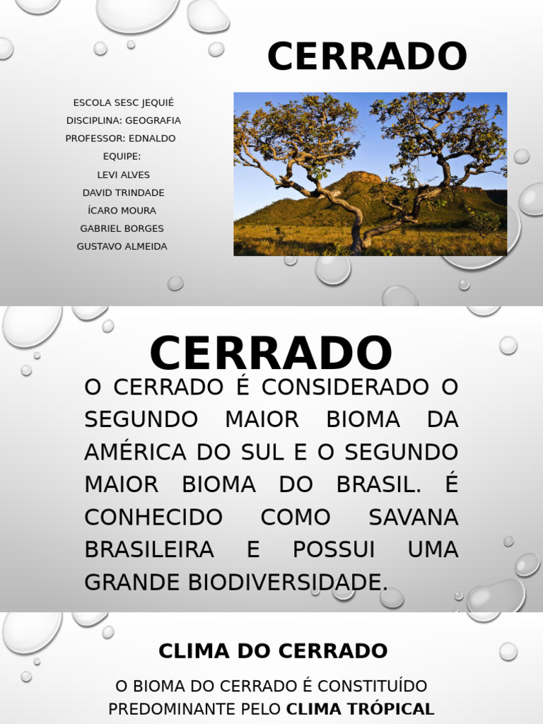 Bioma Cerrado: Clima, Fauna e Flora | PDF