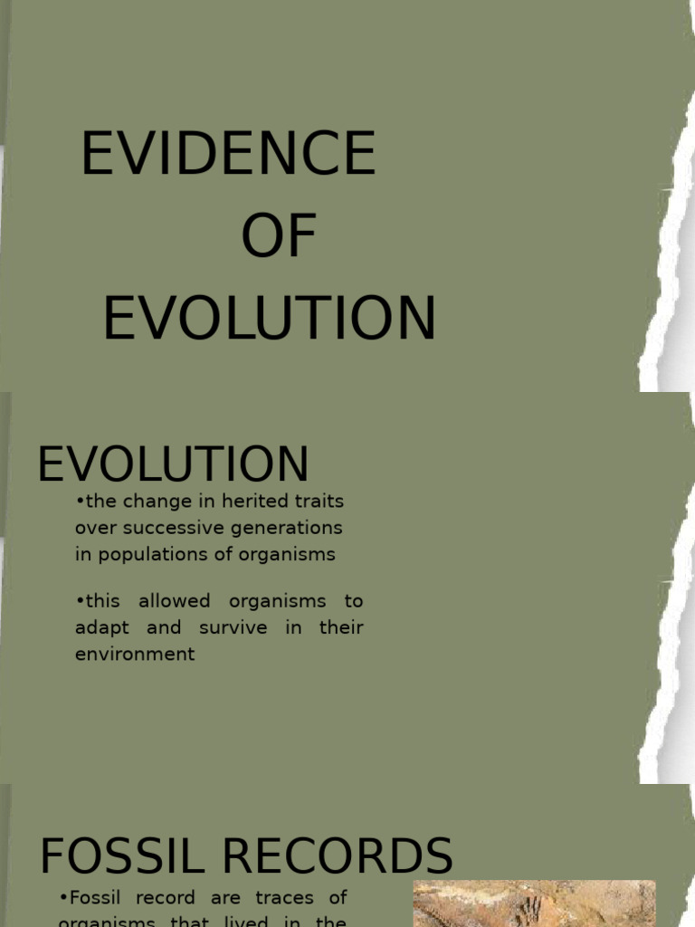 Evidence of Evolution and Fossil Records | PDF