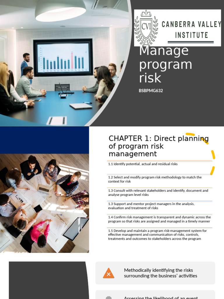 Program Risk Management Strategies | PDF | Risk | Risk Management