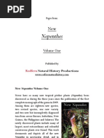 Download New Nepenthes holdenii poulation discovered by Franois Mey SN83167470 doc pdf