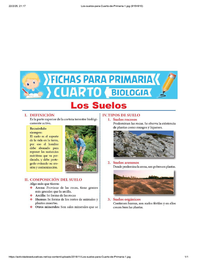 Suelos para Cuarto de Primaria | PDF