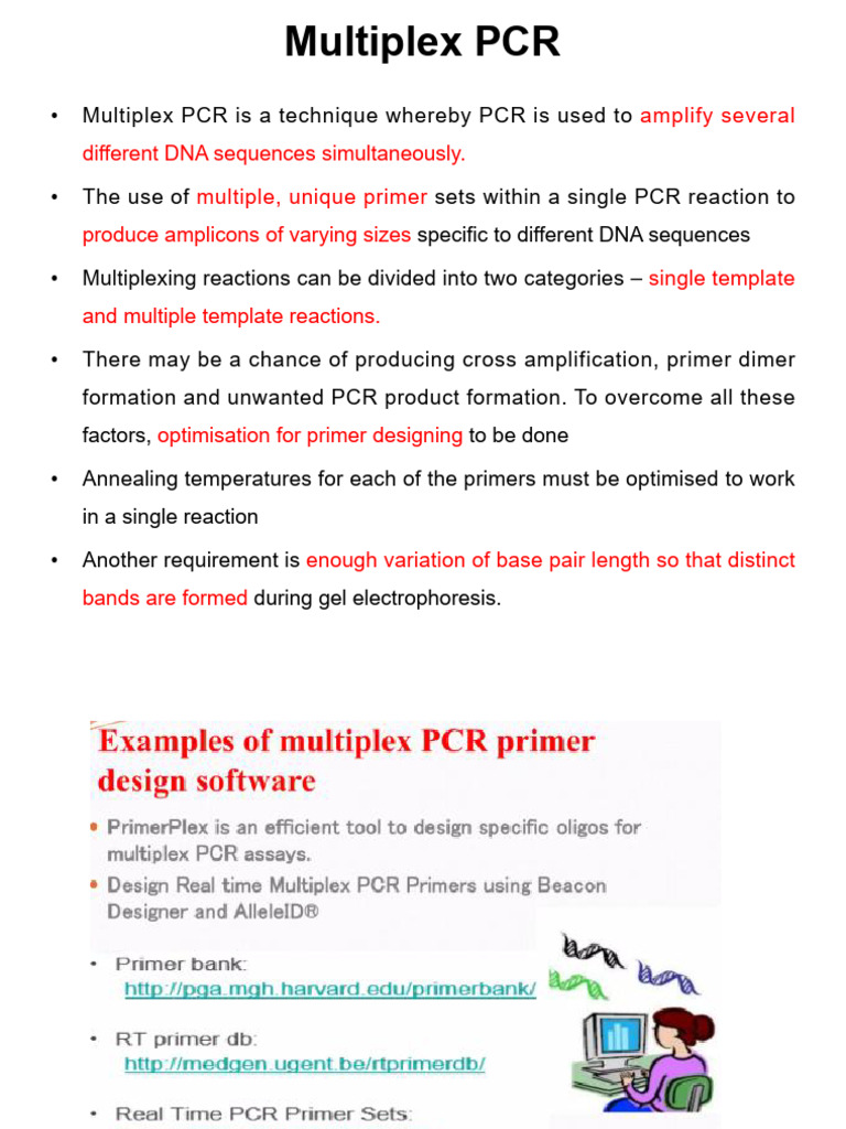 Multiplex and Nested PCR | PDF