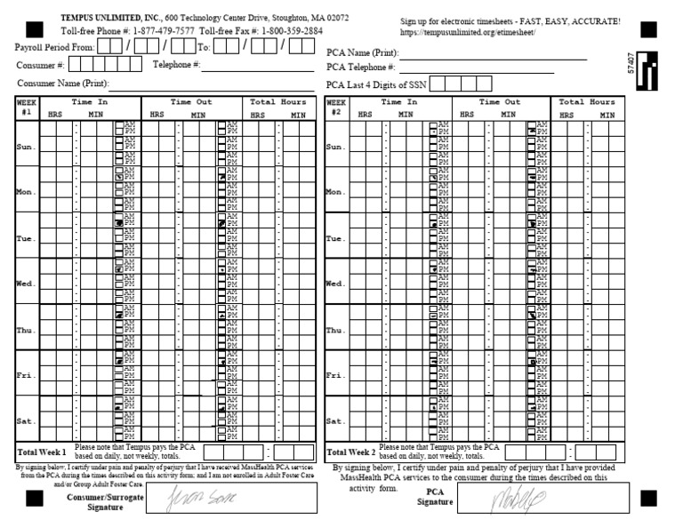 MassHealth PCA Activity Form | PDF | Information And Communications ...
