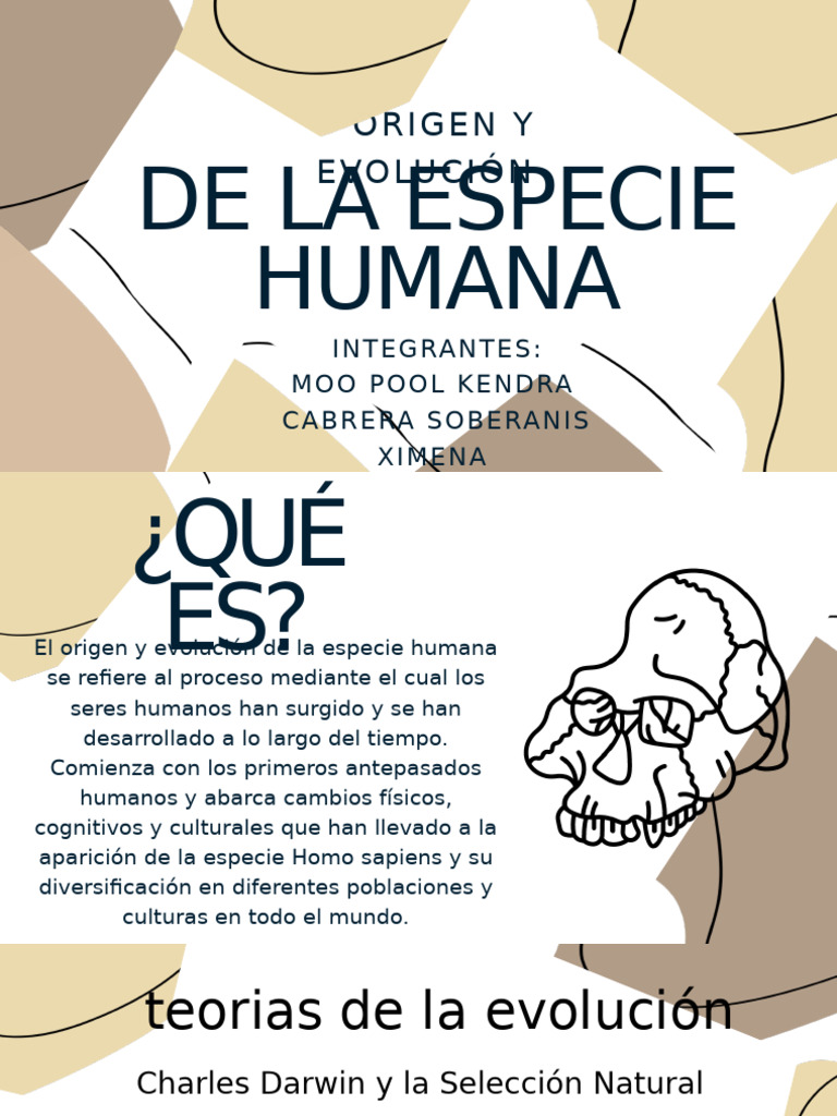 Origen y Evolución del Ser Humano | PDF | Homo | Humano