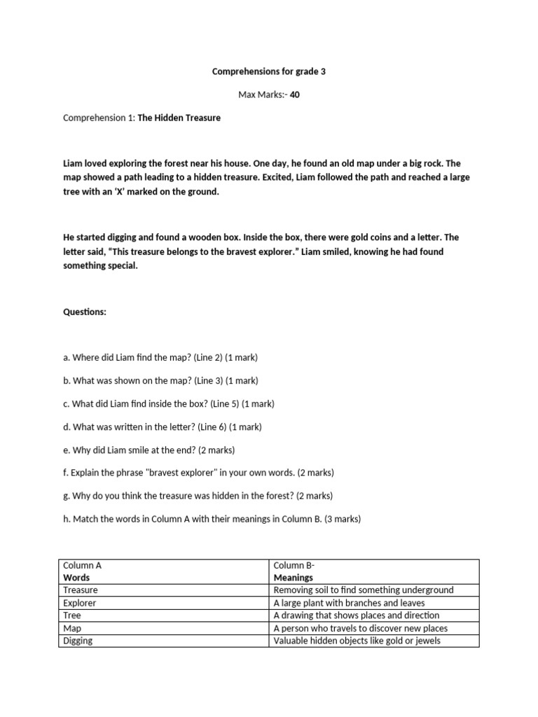 Comprehensions For Grade 3 | PDF