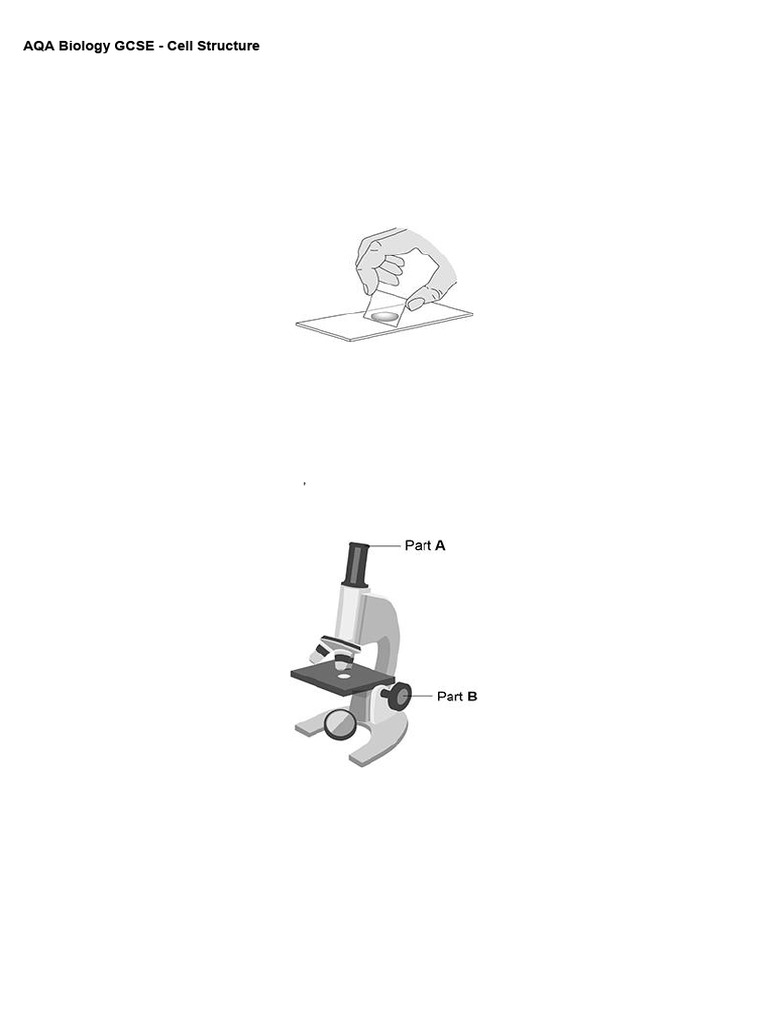 AQA Biology GCSE: Cell Structure Guide | PDF | Cell (Biology) | Tissue ...