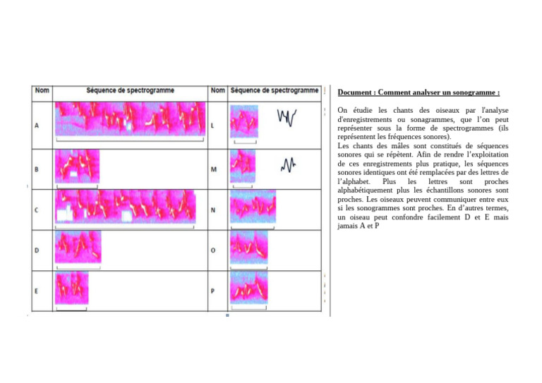Analyse des sonogrammes aviaires | PDF