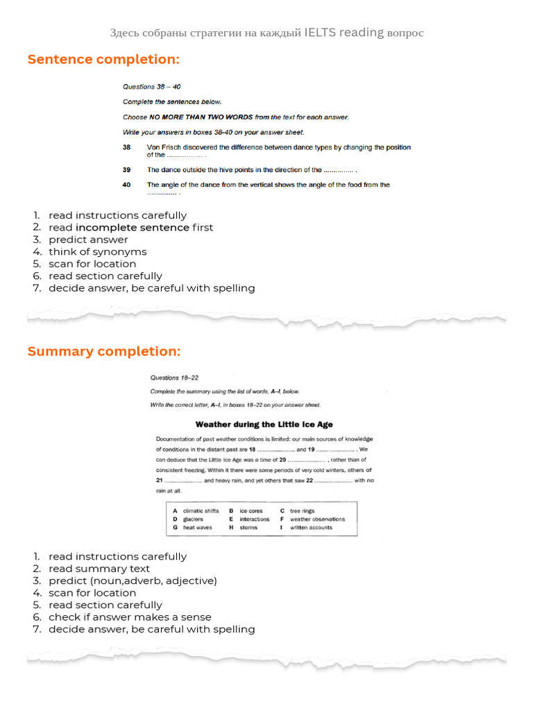 Reading Guide 1 | PDF | Languages | Foreign Language Studies