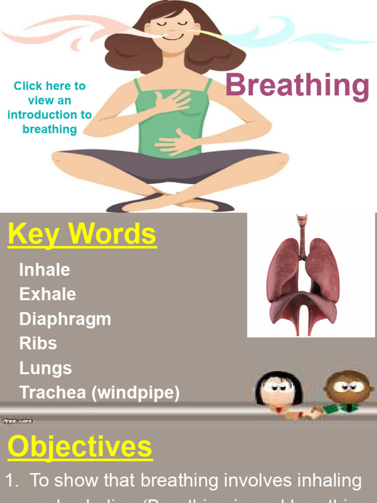 Understanding Breathing Mechanics | PDF