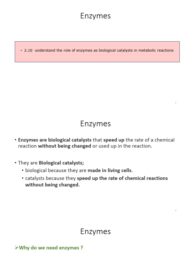 Enzymes as Biological Catalysts | PDF | Enzyme | Active Site