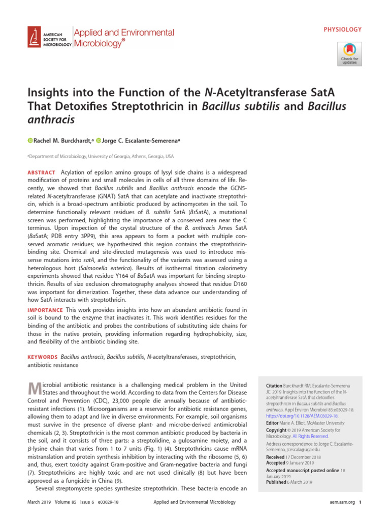 Burckhardt Et Al 2019 Insights Into The Function of The N ...