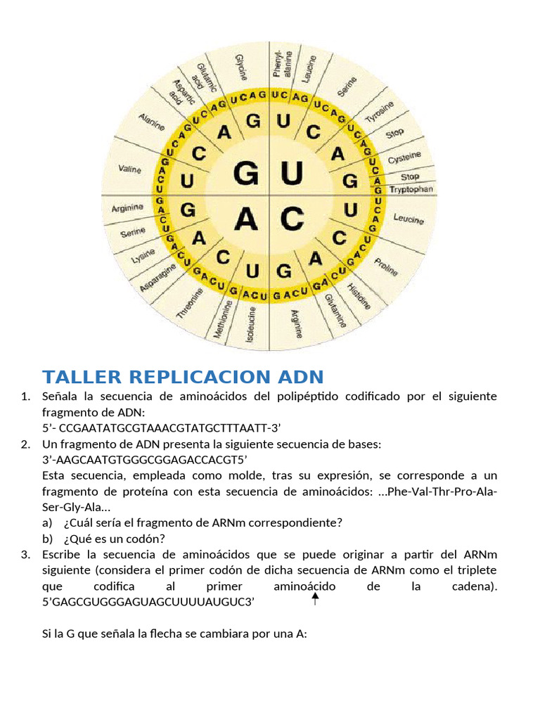 Replicación del ADN y Código Genético | PDF | Codigo genetico | Adn