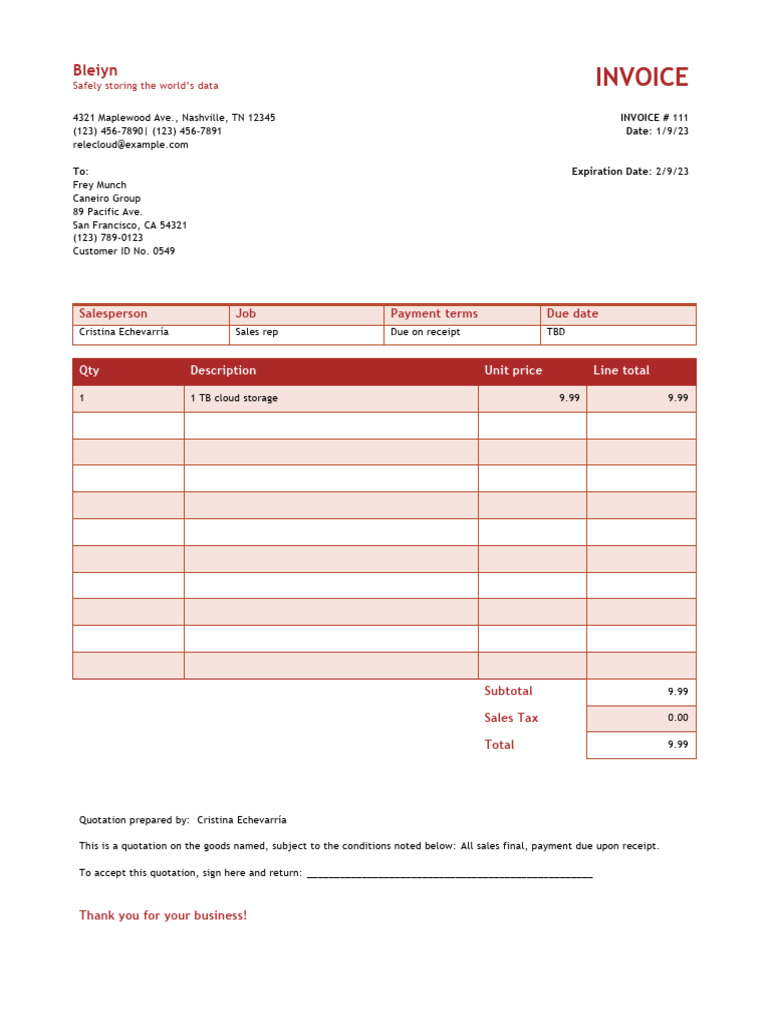 Invoice for 1 TB Cloud Storage | PDF