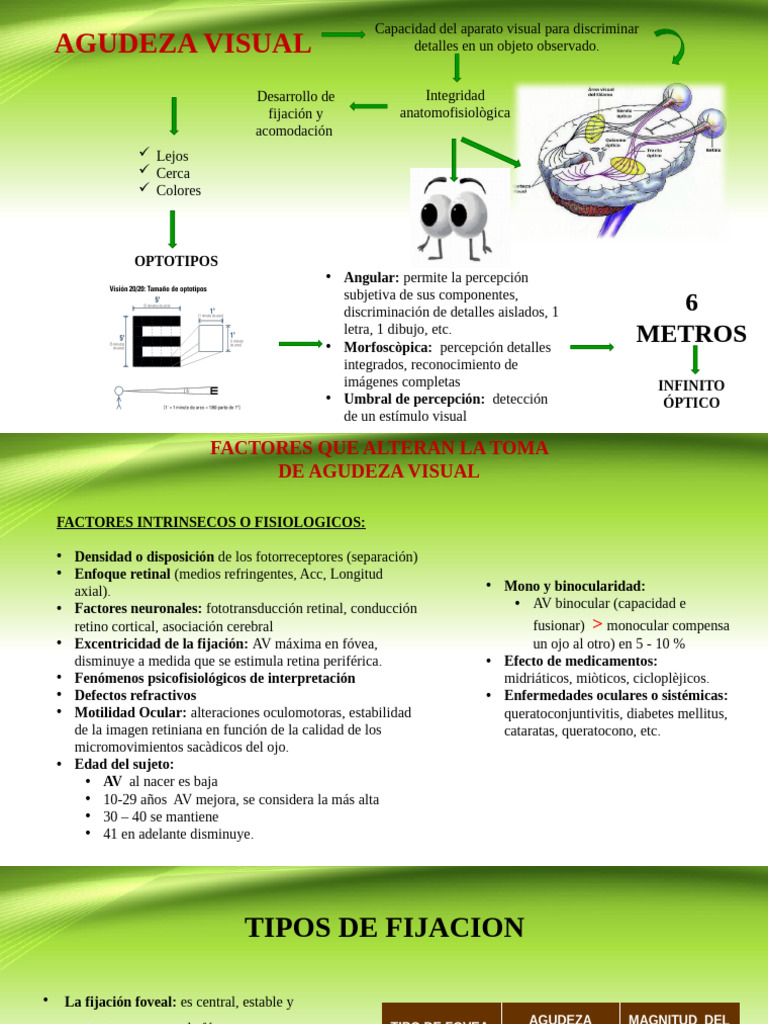 Agudeza Visual Clase IV | PDF | Percepción visual | Ojo