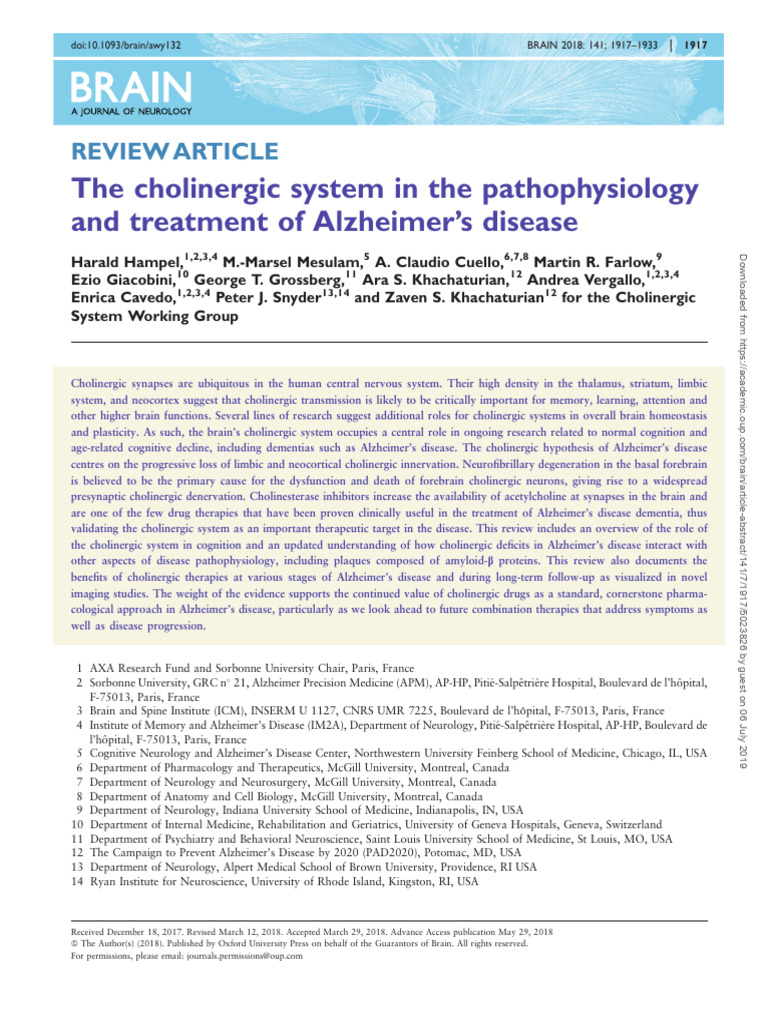 Cholinergic System in Alzheimer's Disease | PDF | Acetylcholine ...