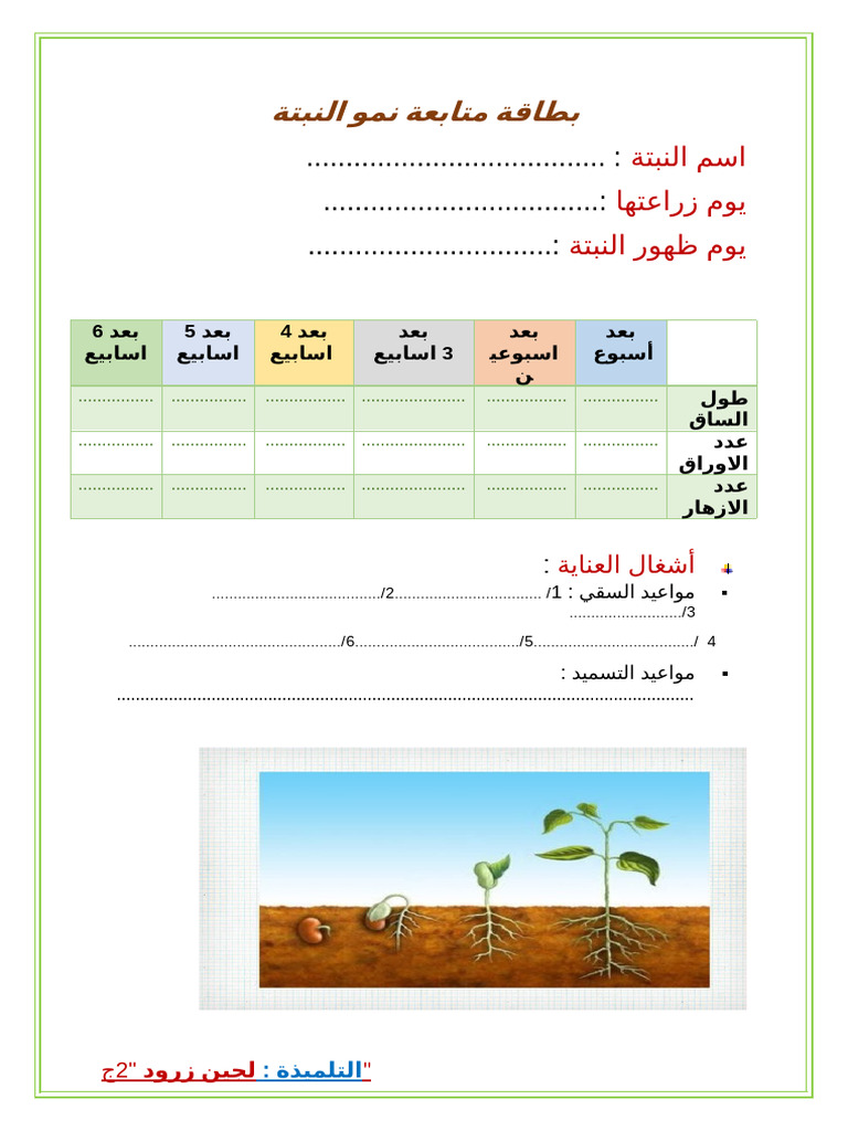 بطاقة متابعة نمو النبتة | PDF