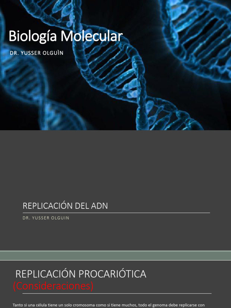 Biología Molecular Clase 4 | PDF | Replicación De Adn | Telómero