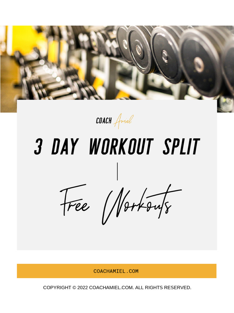 3 Day Workout Split Free PDF | PDF | Sports Science | Management Of Obesity