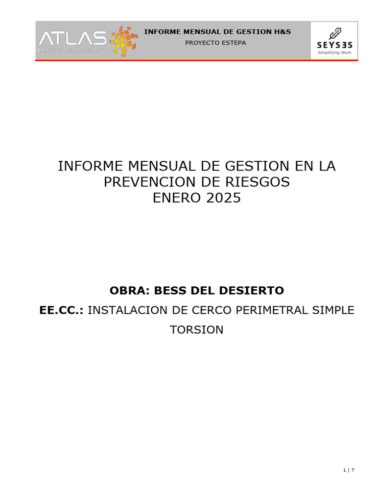 INFORME MENSUAL CTTA H&S Enero | PDF