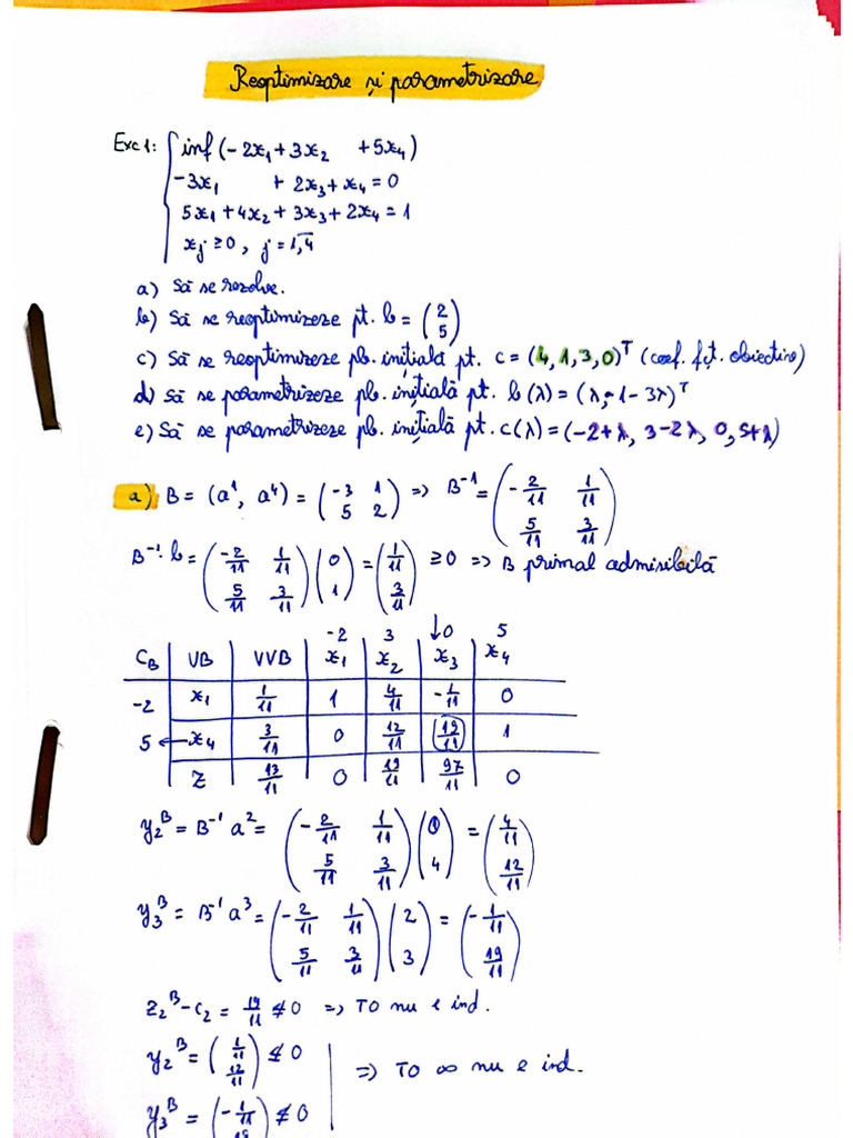 Reoptimizare Si Parametrizare | PDF
