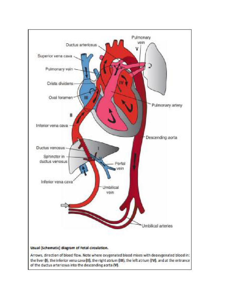 Board 1 Figure | PDF