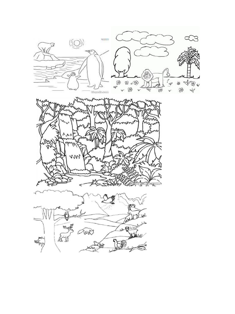 Bioma pdf