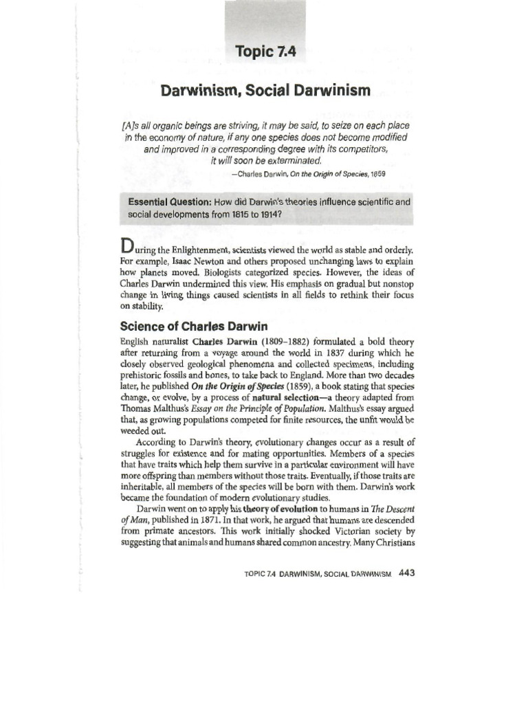 Ape+Amsco+Unit+7.4 5 | PDF