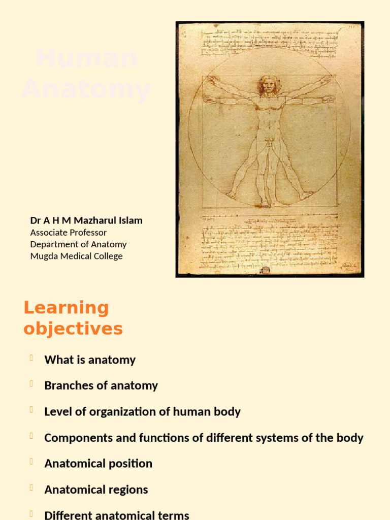 Introduction of Human Anatomy | PDF | Anatomical Terms Of Location ...