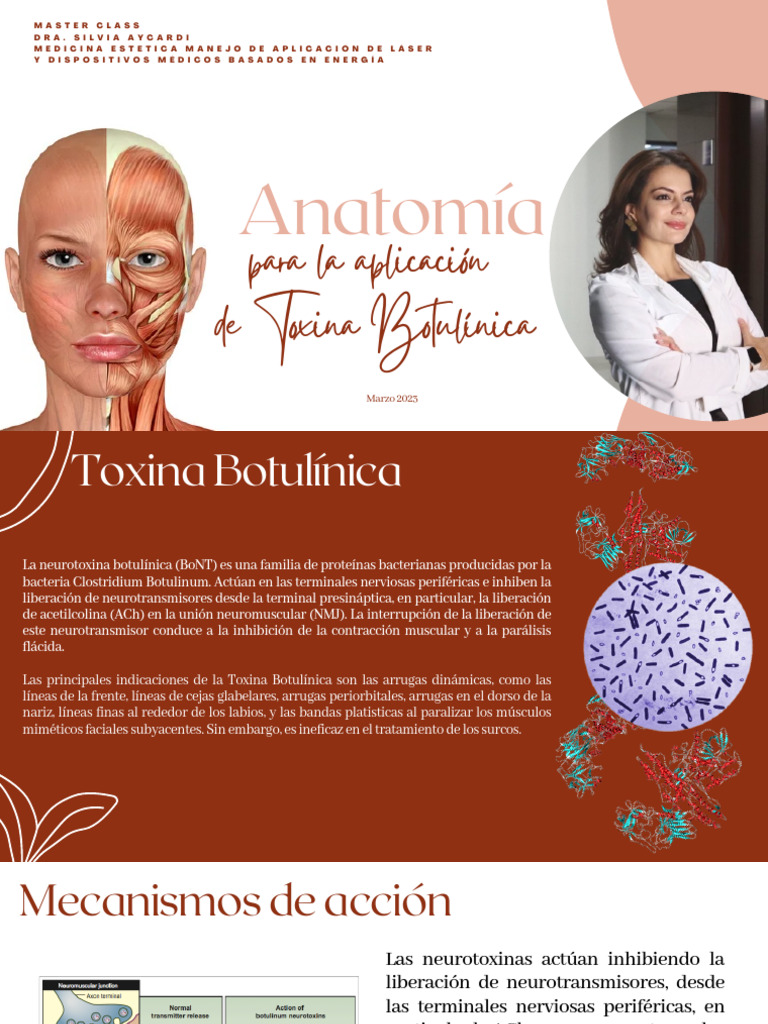 Anatomía de Aplicación de Botox | PDF | Nariz humana | Anatomía humana