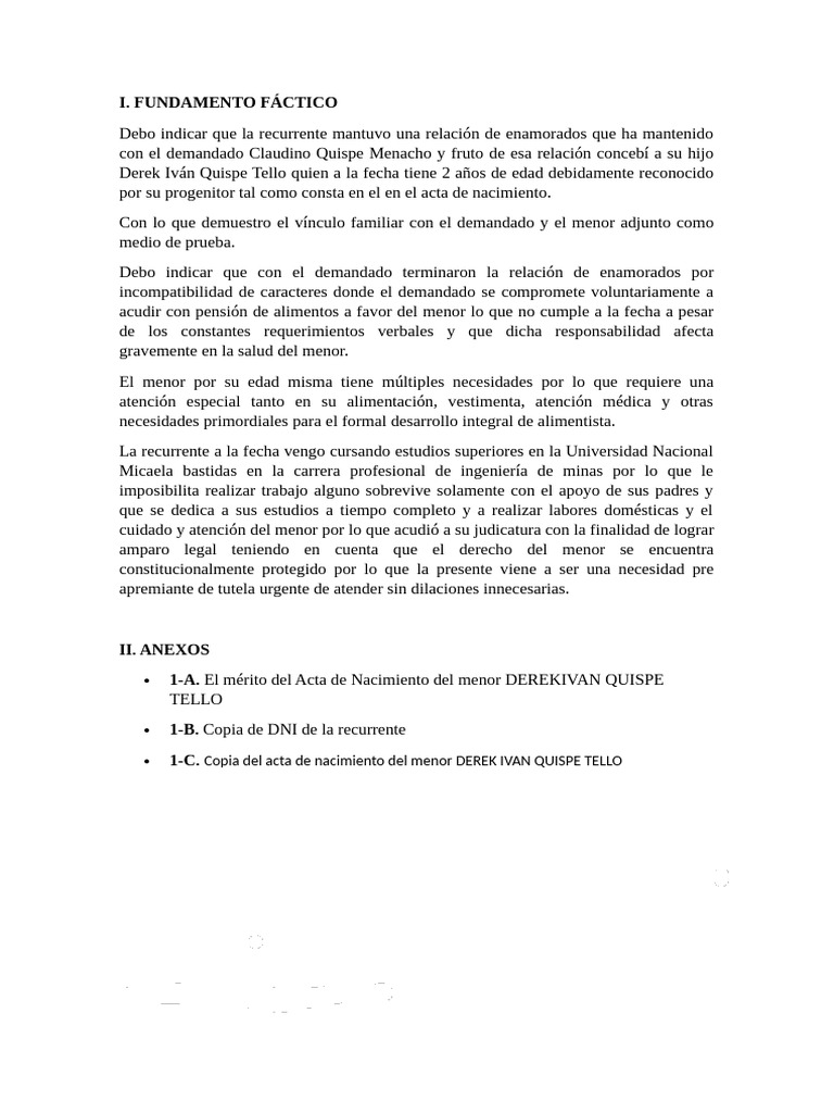 Fundamento Factico Civil | PDF